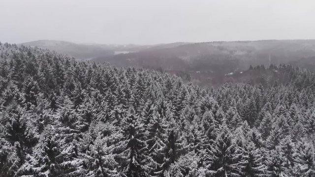 Snowy trees in countryside, tilt down aerial
