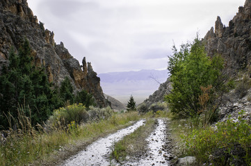 Morman Gulch
