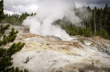 Yellowstone National Park