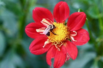 Public Gardens 2018 9