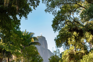 Florest with Cristo Redentor