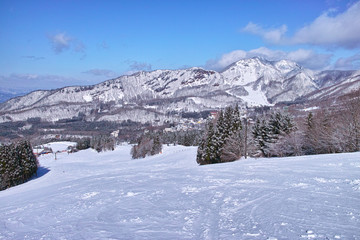 スキー場
