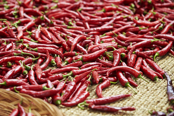 red hot chili peppers