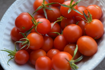 Cherry Tomatoes 