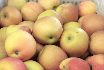 Fruit basket filled with apples in the fruit market