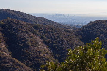 Fototapeta premium Santa Monica Mountains in Brentwood, Los Angeles, California
