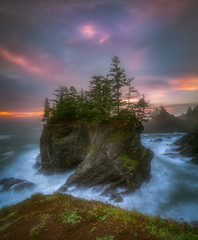 Sea stack with trees of Oregon coast