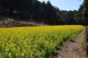 神奈川県横浜市の追分市民の森
