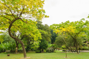 Autumn scenery in a park.