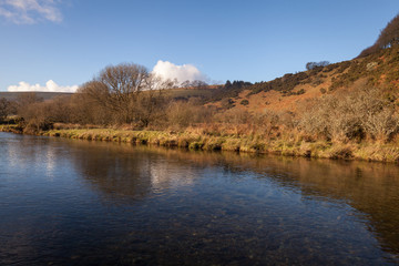 Fototapeta premium The banks of the River Barle on Exmoor in Somerset on a sunny day.