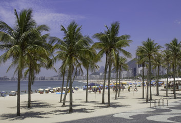 Fototapeta na wymiar Palm trees on the beach near Leme in Rio de Janeiro Brazil