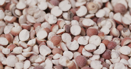 Chinese Gordon euryale seed