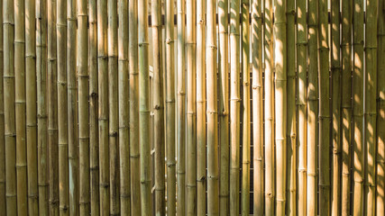Bamboo and wood shade background or texture