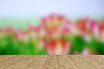 Naklejka na ściany i meble Tulip flower blur for background