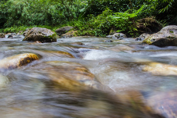 Fototapeta premium The stream in the mountains, the stream is flowing