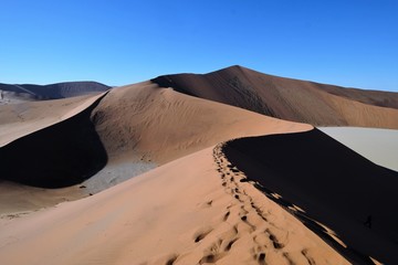 Fototapeta na wymiar Biggest dune in the World ,Namibia