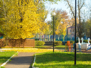Autumn in park