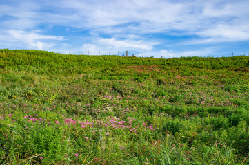 伊吹山の頂上の景色（滋賀県、日本）