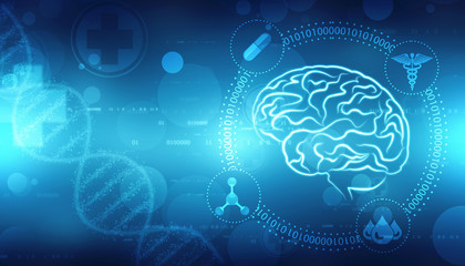Human brain 2d illustration, Digital illustration of Human brain structure, Creative brain concept background, innovation background
