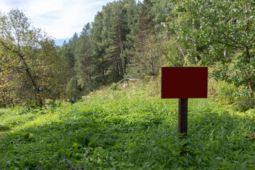 empty sign in the woods