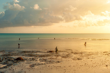 Fototapeta na wymiar Locals work on the beach at low tide. Men and women gather seaweed at dawn, island of Zanzibar