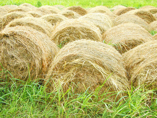 干し草