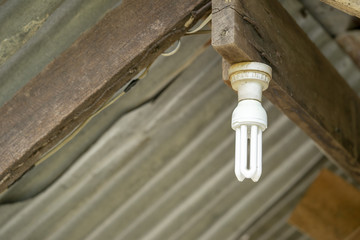 Household Energy Saving Lamps