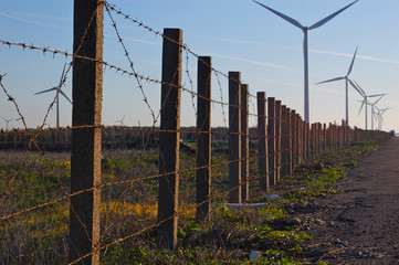 Wind turbines at a beach in Changhua, Taiwan