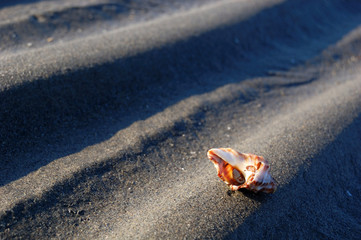 Sediment ripple marks at a beach in Changhua, Taiwan
