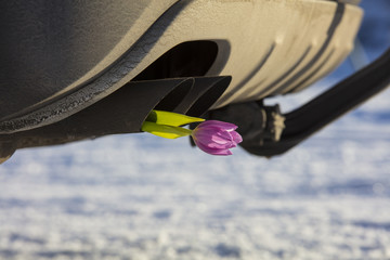 Car exhaust pipes with a pink tulip in Finland. 
