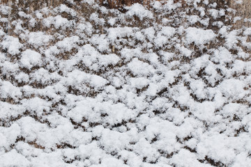 old wooden background with snow
