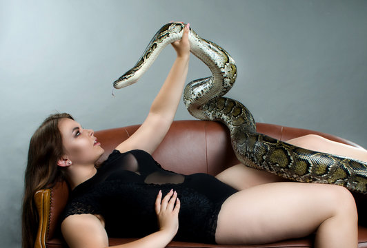820 Lady With Snake Hair Stock Photos Pictures  RoyaltyFree Images   iStock
