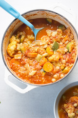 One pot vegetable - cauliflower, courgette, tomatoes, carrots, fennel soup 