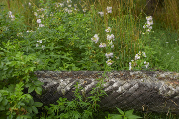 the old heating pipes