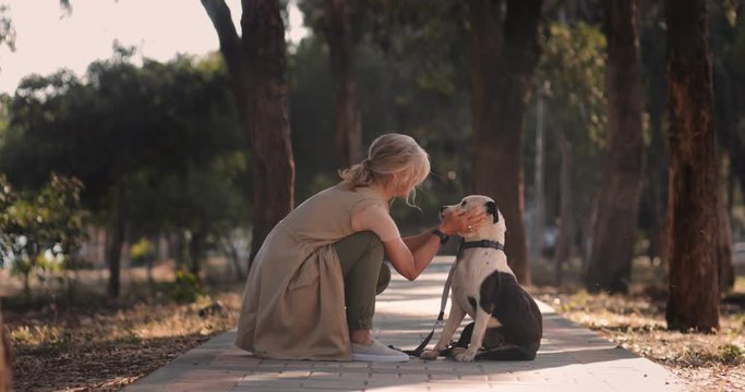 Affectionate senior woman petting dog on footpath among trees