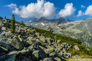 Beautiful mountain and glacier view at Nationalpark Hohe Tauern in Pinzgau in the Austrian Alps
