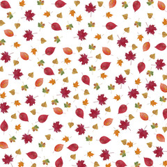 Pattern of autumn leaves watercolor