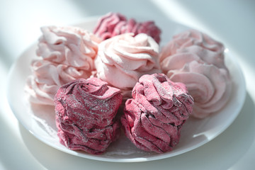 Homemade sweet fresh zephyr, marshmallow on white plate