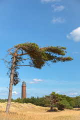 Fototapeta na wymiar The Natureum at Darss with its lighthouse