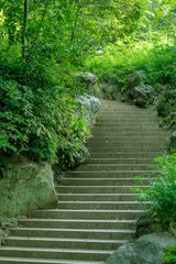 夏の公園　カーブする階段１