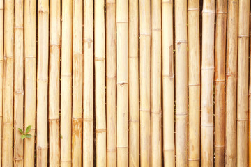 bamboo wood texture fence,Natural background,light brown wooden wall and space