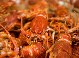 A stack of shrimp or lobster for seafood restaurant