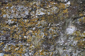 mur en pierre avec lichen