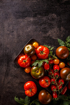 Varieties of colorful tomatos