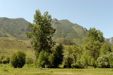 Fototapeta na wymiar Mountain landscape in the area of the river Big Yaloman. Mountain Altai