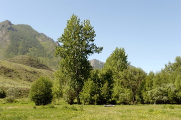 Mountain landscape in the area of the river Big Yaloman. Mountain Altai