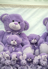 Bear lavender color