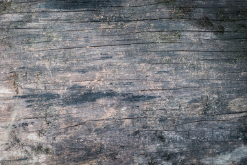 Old wood texture background in rustic aged dark color