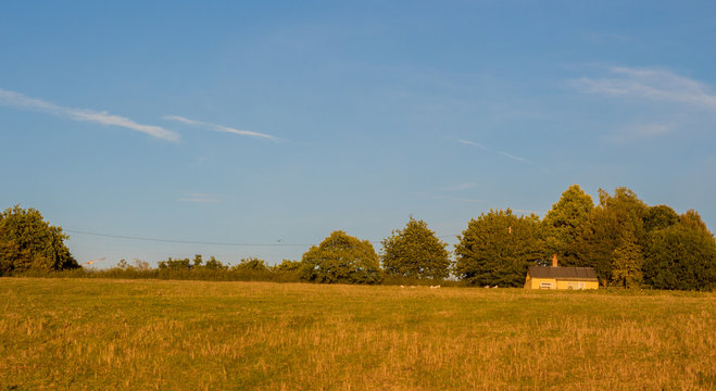 Beautiful golden light of sunset at Pickmere Lake, Pickmere, Northwich, Cheshire, UK