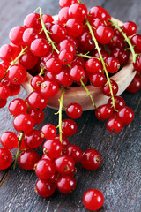 Fresh red currants on light rustic table. Healthy summer fruits